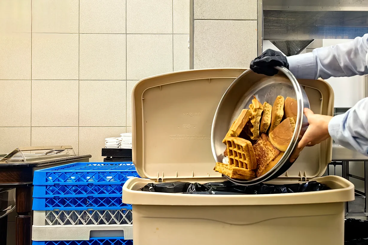 A plate of pastries is dumped into the food waste bin—a symbolic image representing food waste, which the article discusses as a source material for producing raw materials using sunlight.
