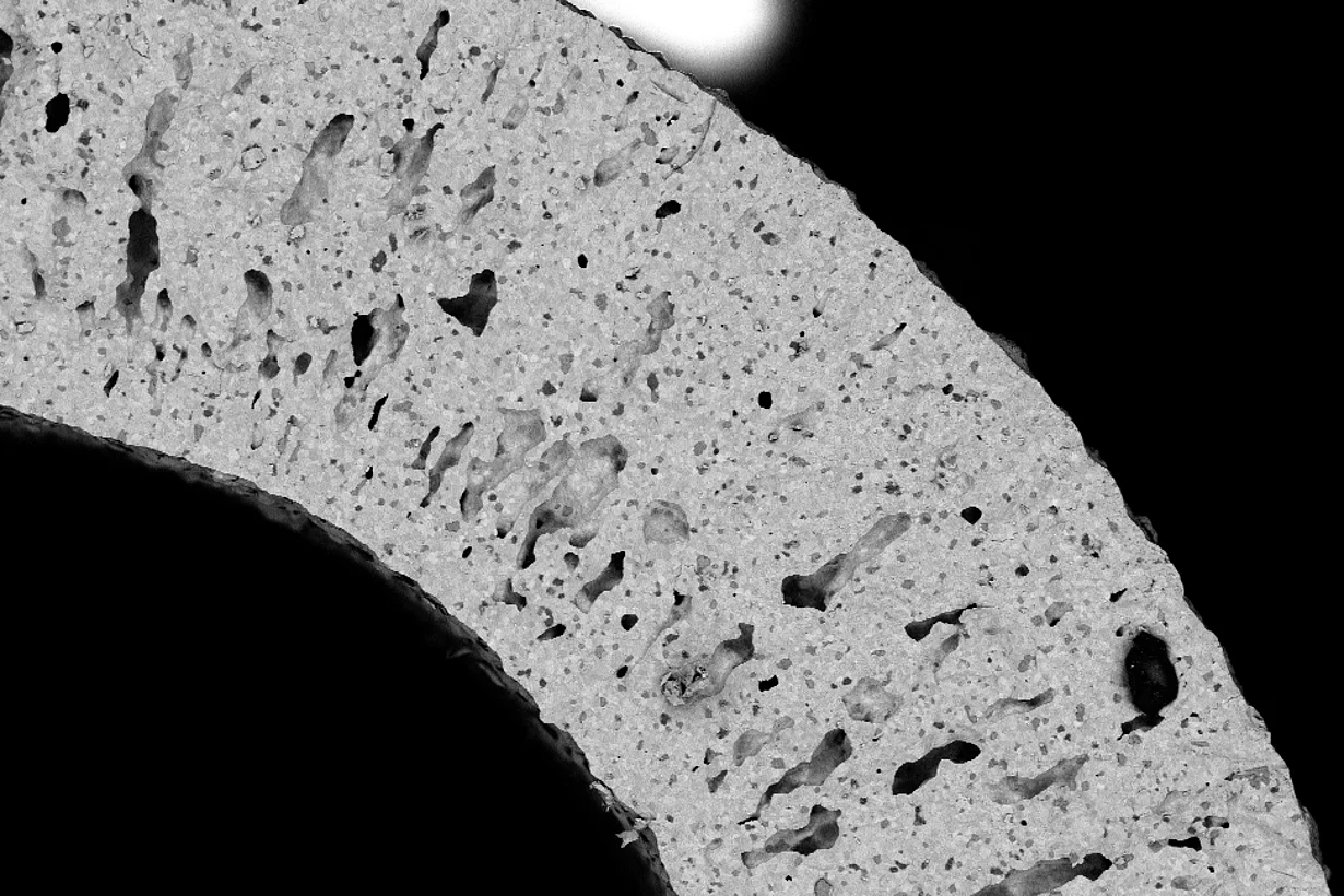 Wissenschaftsaufnahme eines Membranquerschnitts.